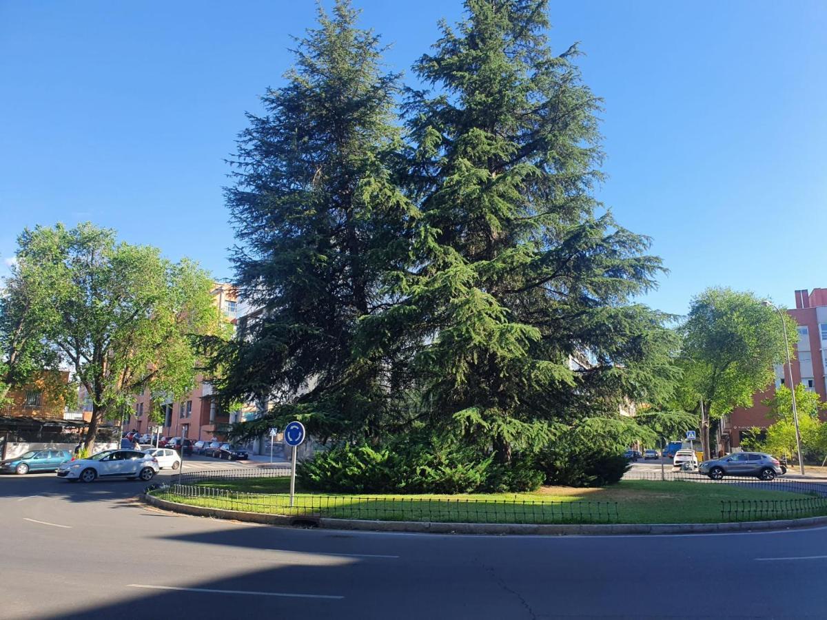 Duplex 2 Plantas - C Alcala-Ifema-Ventas- Jardin & Parking Privados- Suites Boutique Wh Madryt Zewnętrze zdjęcie